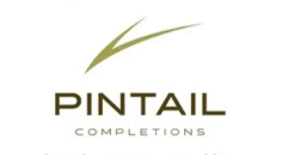 pintail